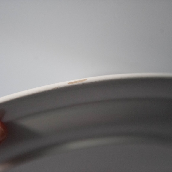 Set of 2 Vintage Lunastone Forest Flower Floral Stoneware 10 5/8" Dinner Plates - Picture 9 of 12